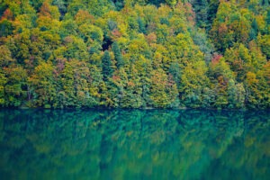 Leuchtender Herbstwald im Wiederspiegel des Seelisbergersee